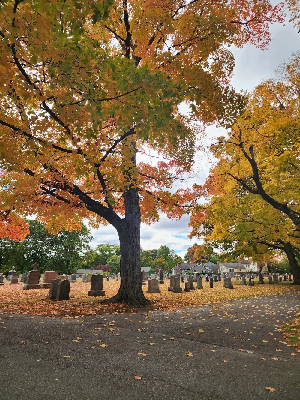 Calvary Cemetery