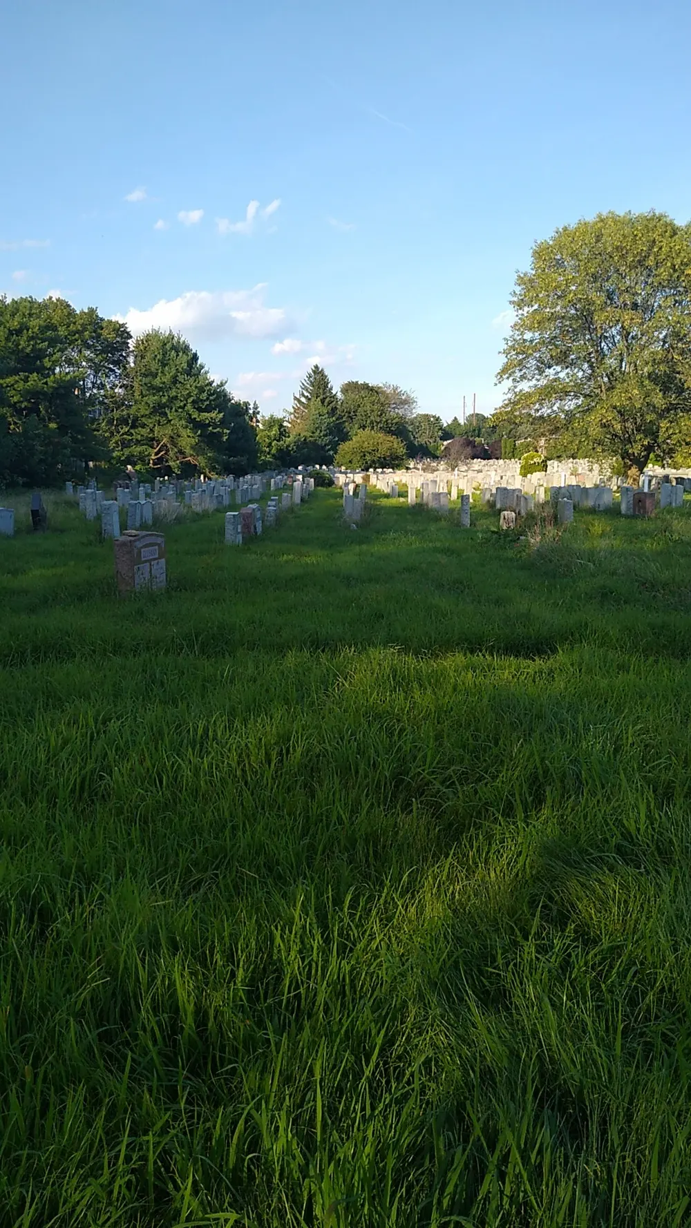 Har Jehuda Cemetery - 2