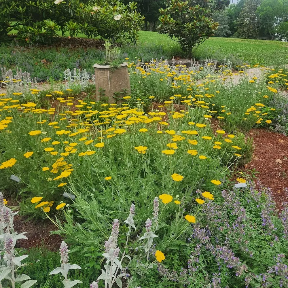 Knoxville Botanical Garden and Arboretum - 3