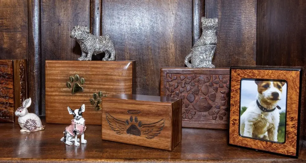 Pet cremation help