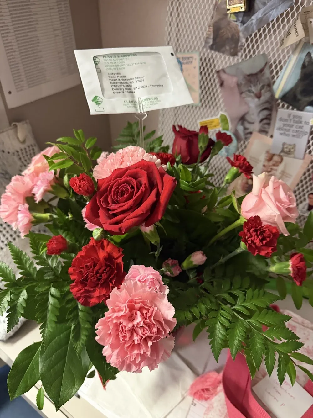 Plants and Answers Florist